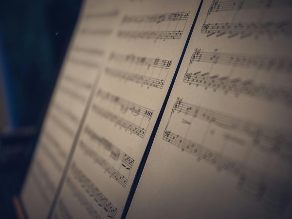 pexels-nikita-khandelwal-178978-685458